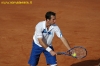 federer-stepanek-00.jpg