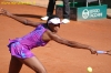 safina-williams-44.jpg